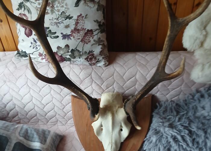 Grajewo ogłoszenia: Sprzedam ktoś chętny